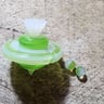 Small image 0