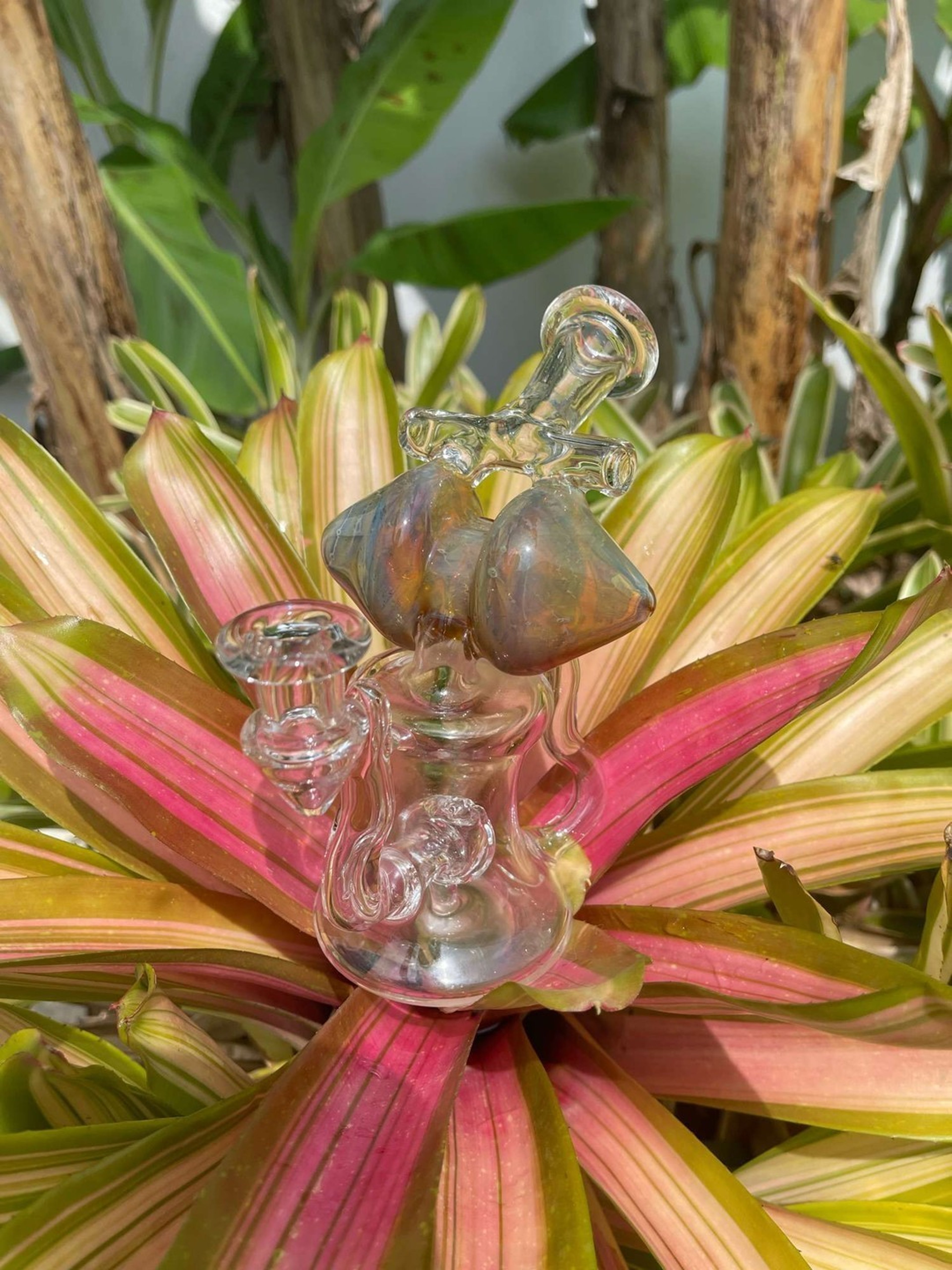 Preview pic of Mjw glass double drain