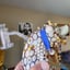 Small image 7