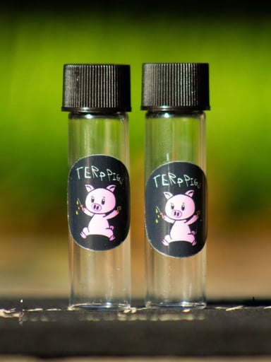 Preview pic of Glass Travel Isopropyl Rubbing Alcohol Container Vials (2 Pack) Terp Pigst