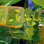 Small image 7