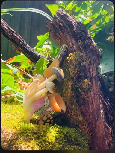 Preview pic of Ryan Fitt Mushroom sherlock