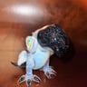 Small image 3