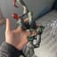 Small image 1