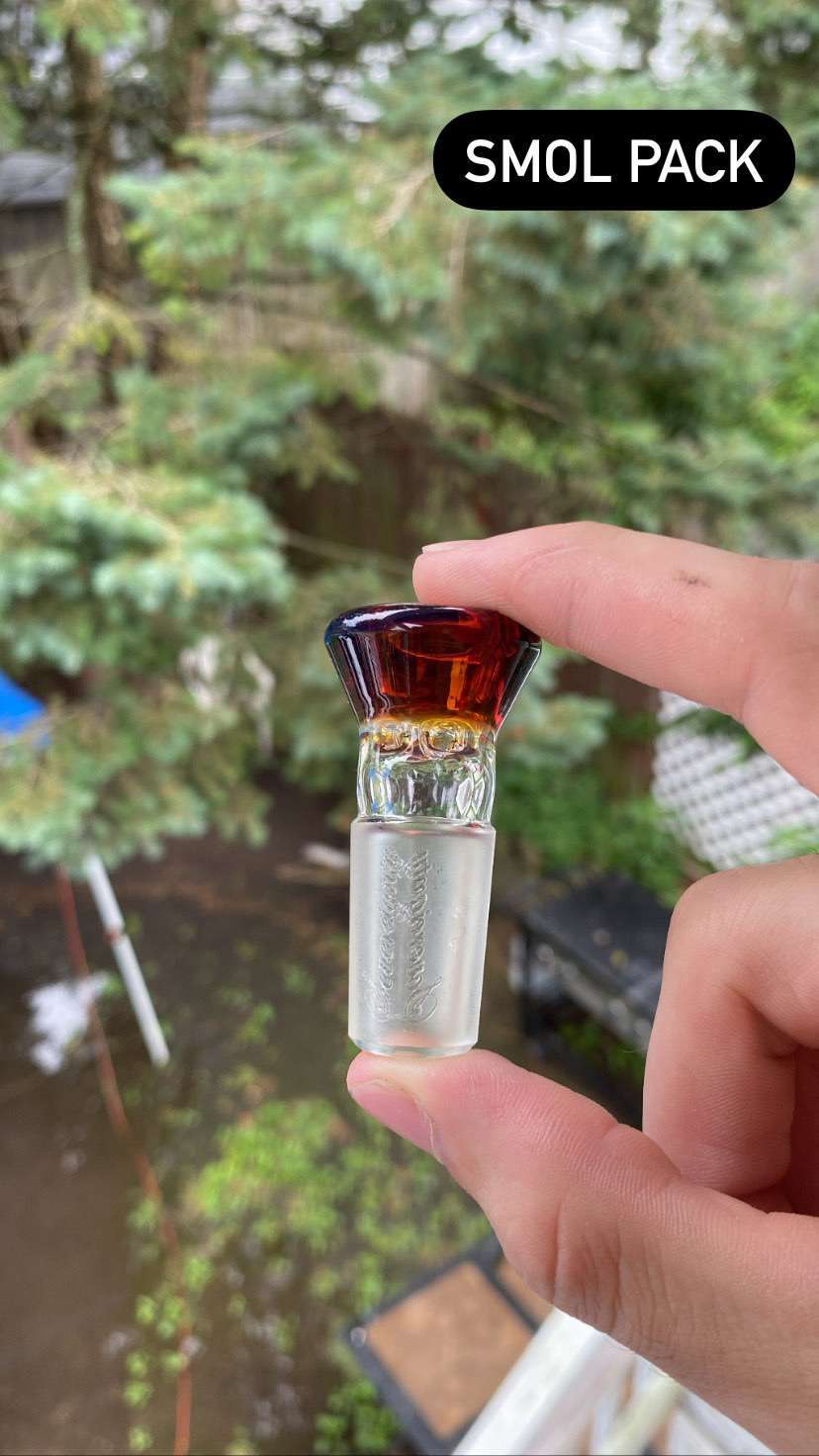 Preview pic of Hornless amber purple sovereignty slide. 