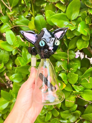 Preview pic of Izzy The Glassblower Black Cat 2 Hole Perc