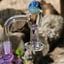 Small image 6