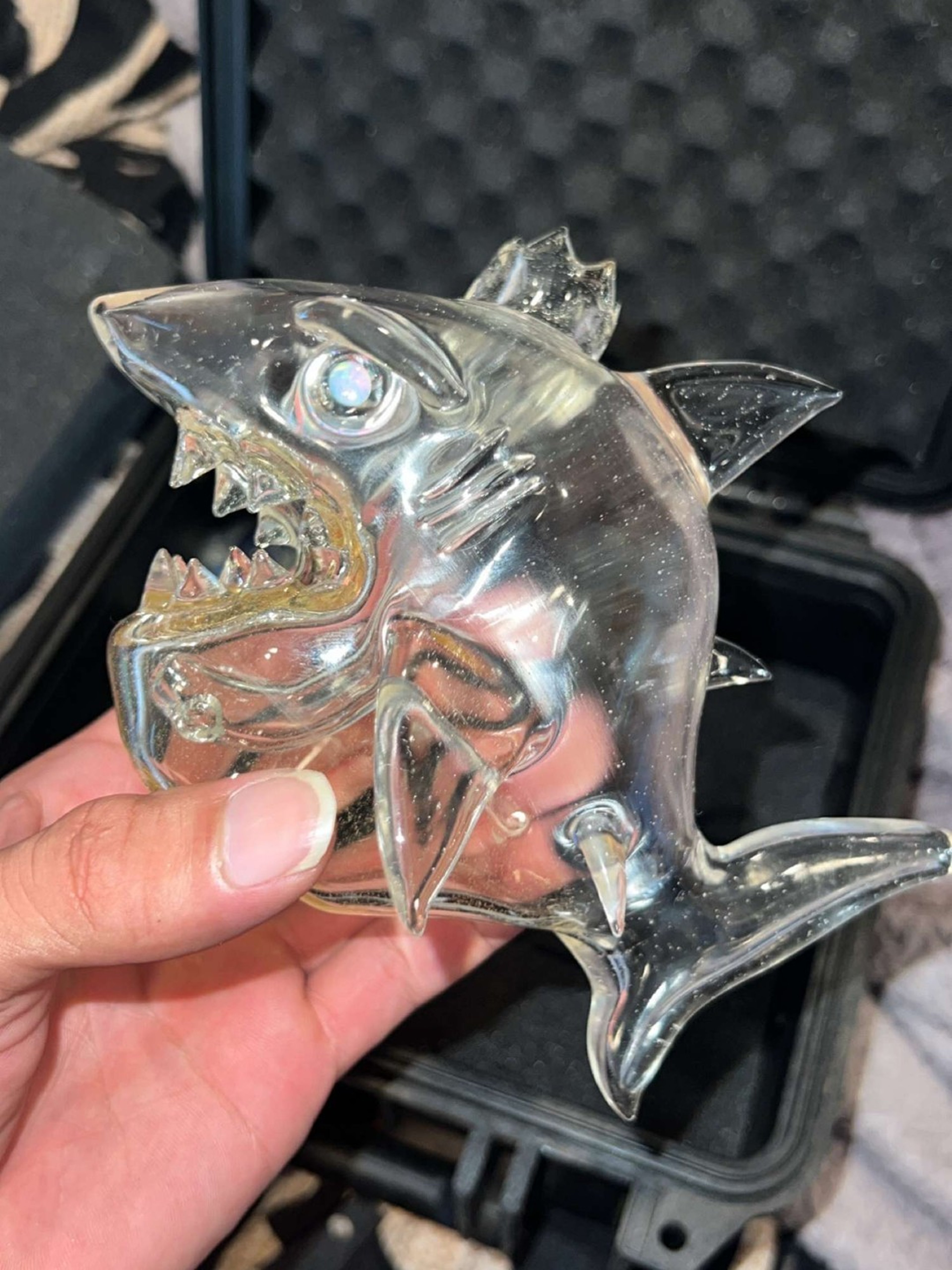 Niko cray King shark image 0