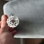 Small image 6