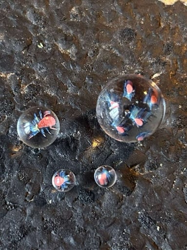 Preview pic of Mr Gray spider mite slurper set