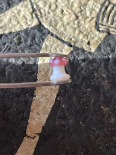 Preview pic of Snic mushroom pearl