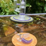 Small image 5
