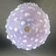 Small image 8