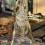 Small image 4
