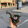 Small image 0
