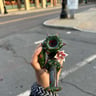 Small image 2