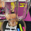 Small image 8