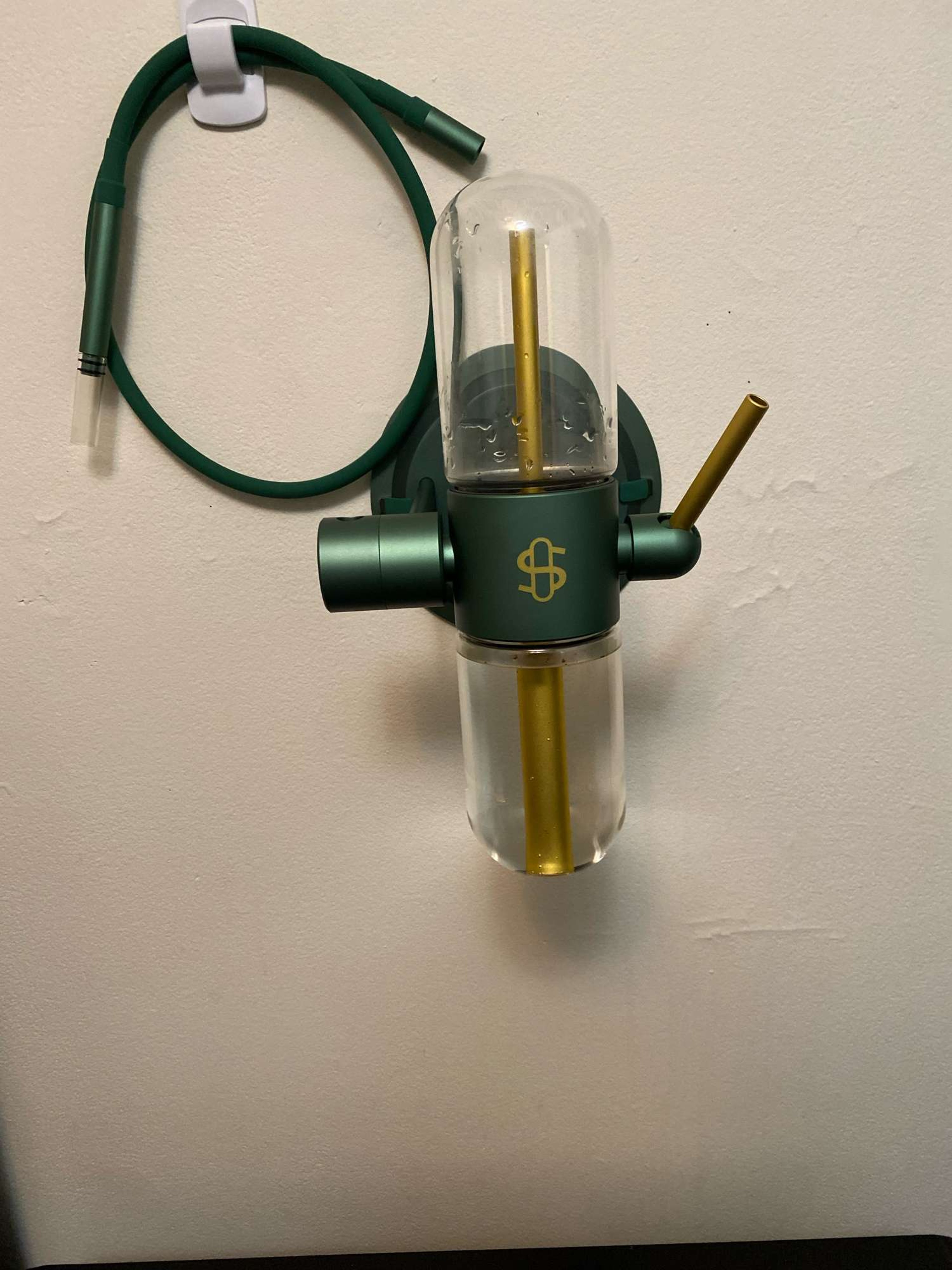 Stundenglass x Dr. Greenthumb image 0