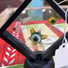 Small image 0