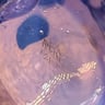 Small image 6