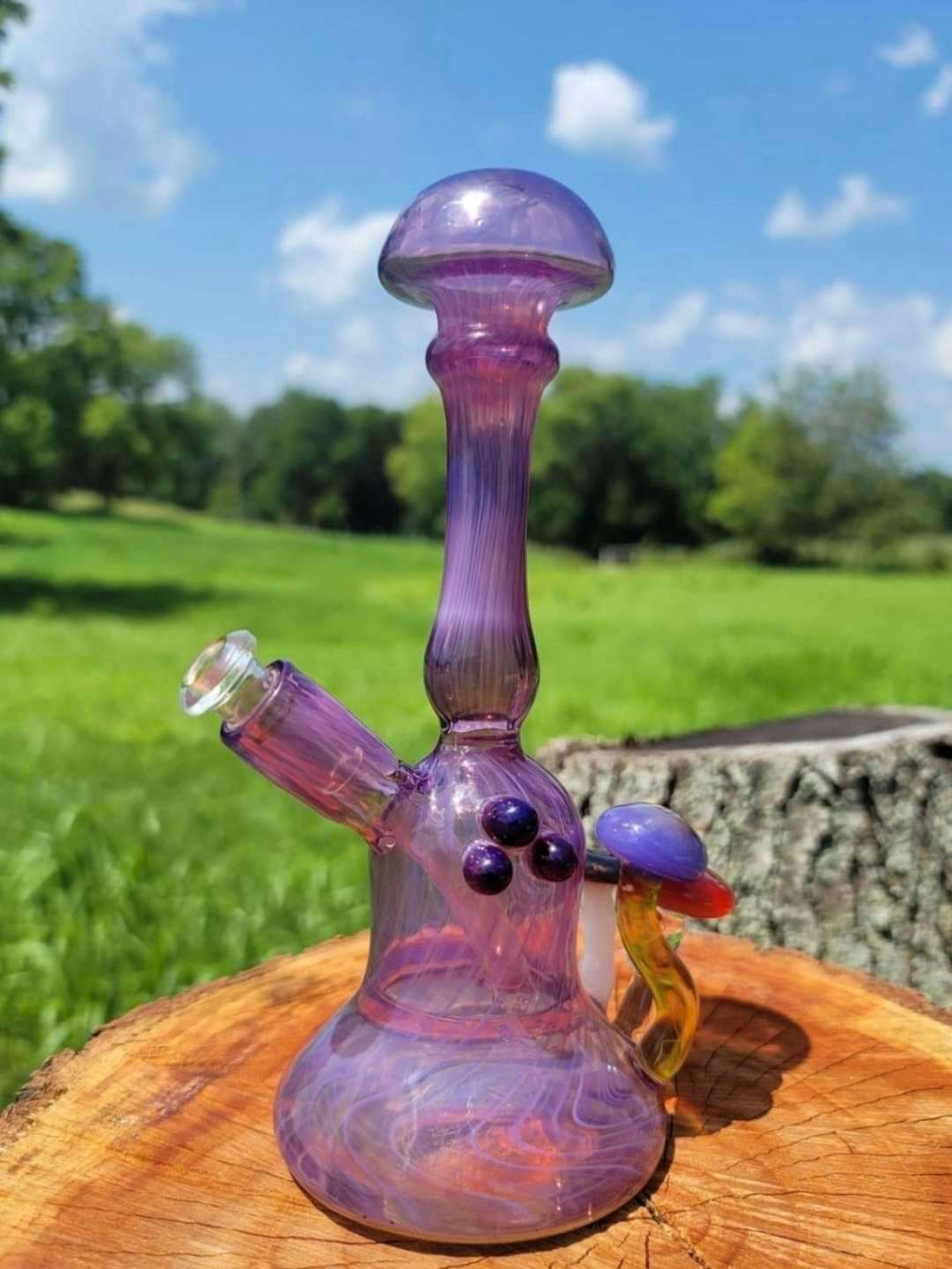 Preview pic of Full royal jelly mushroom rig