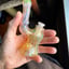 Small image 3