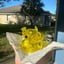 Small image 1