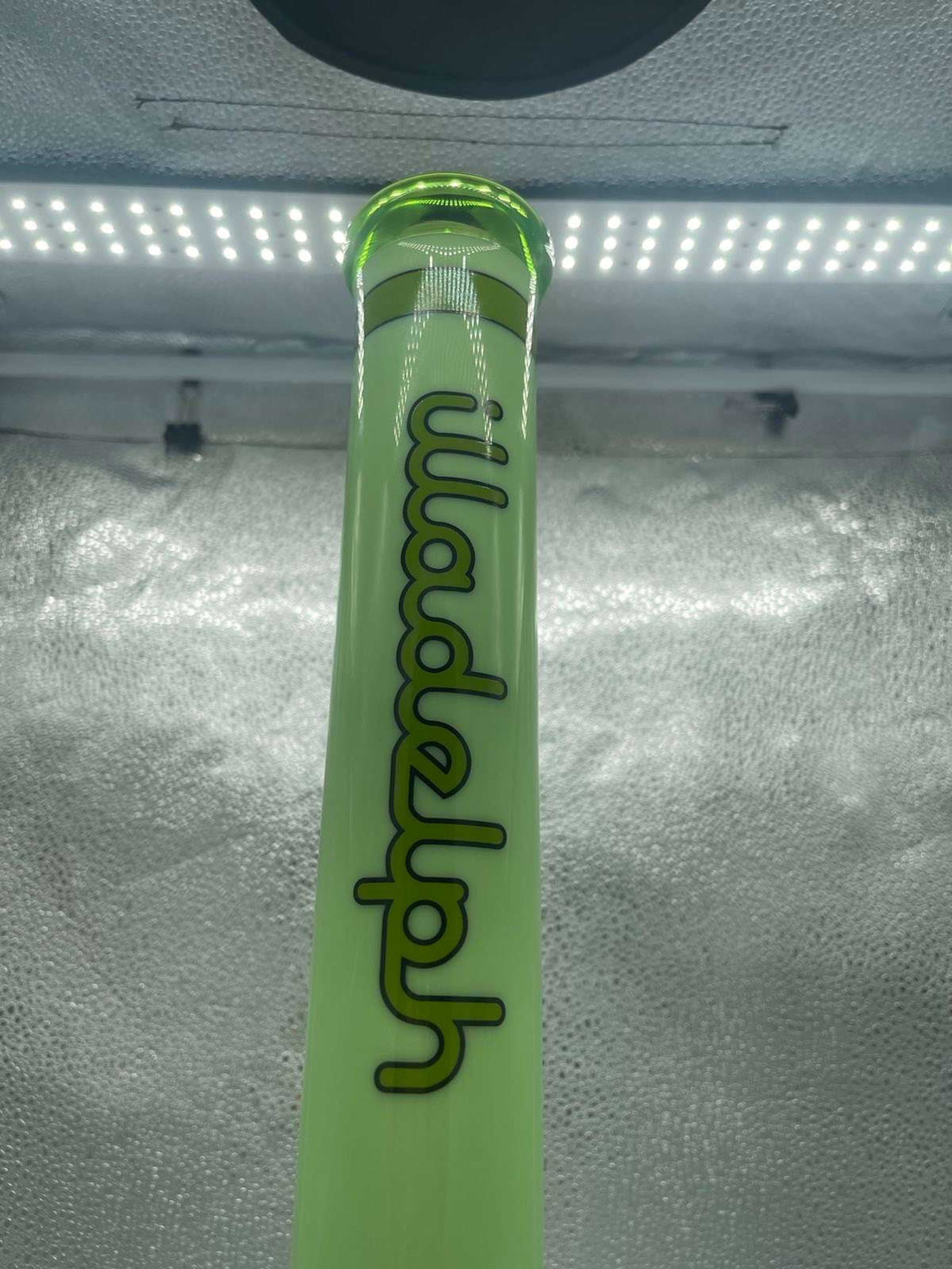 Preview pic of 2022 illadelph gallery