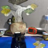 Small image 1