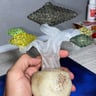 Small image 2