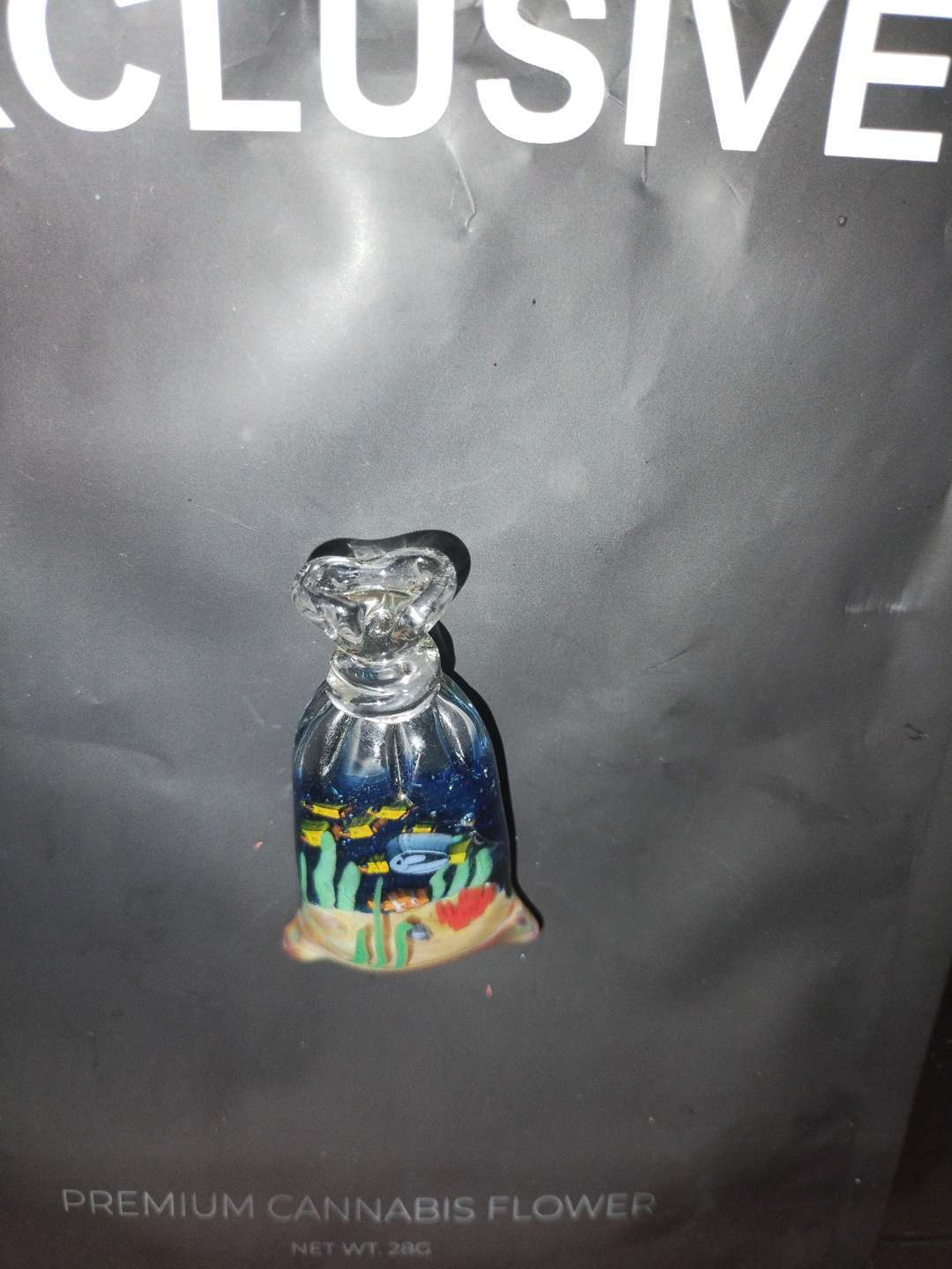 Ocean In a Bag image 0