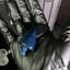 Small image 5