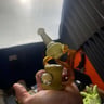 Small image 2