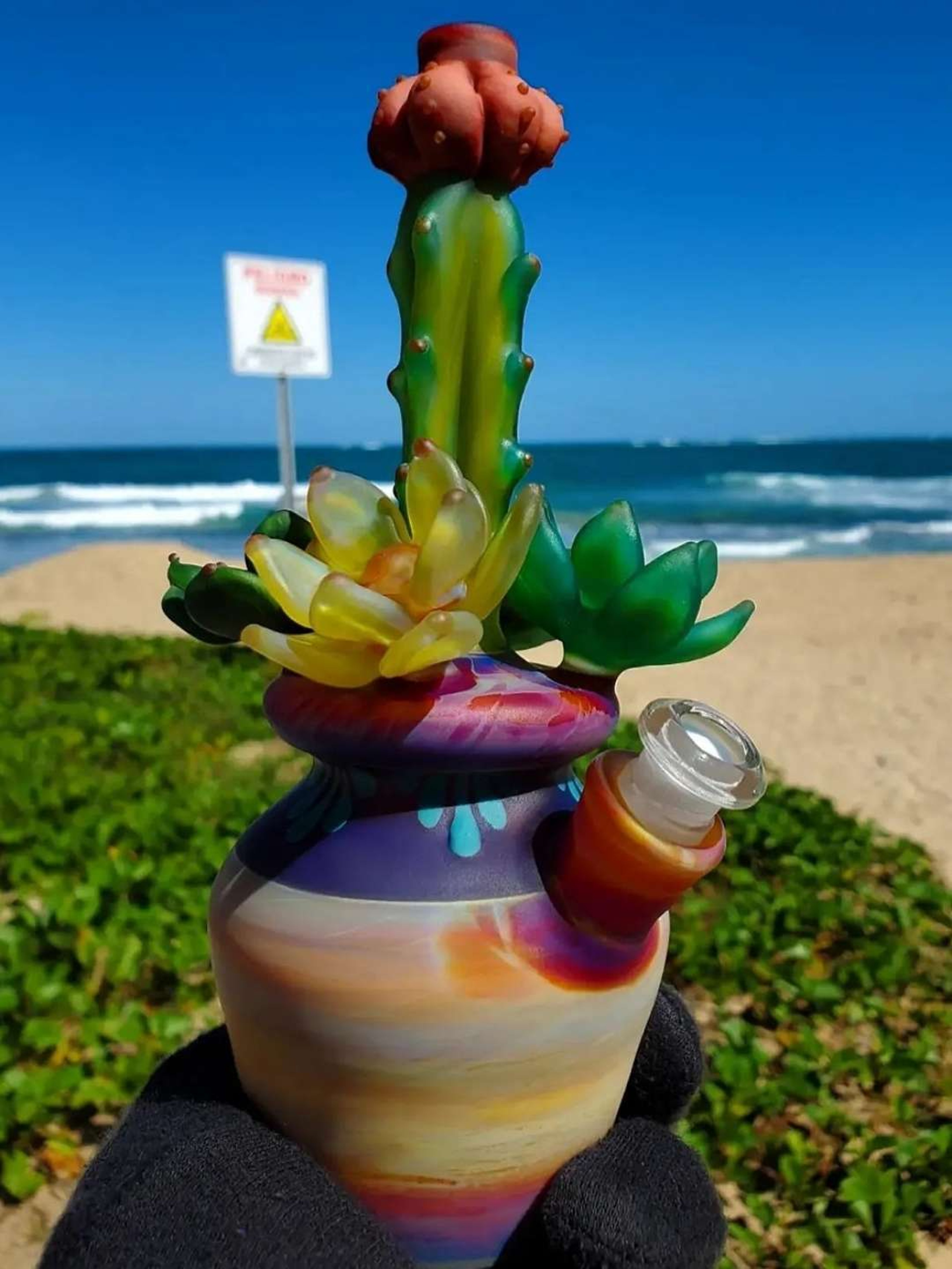 Preview pic of Cactus flower