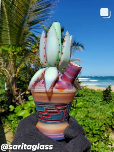 Preview pic of Cactus rig collab