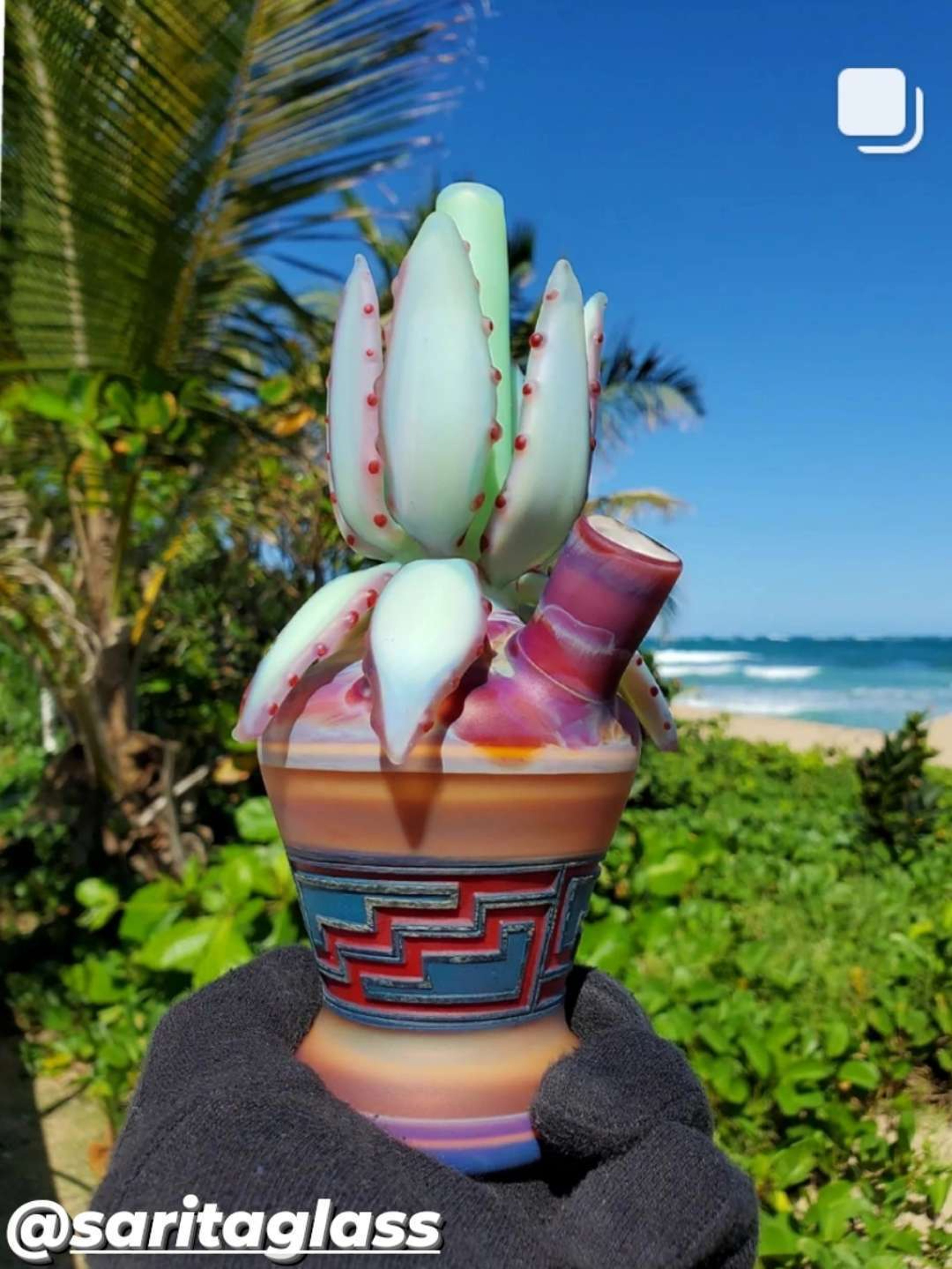 Preview pic of Cactus rig collab