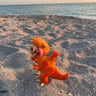 Small image 5