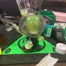 Small image 1