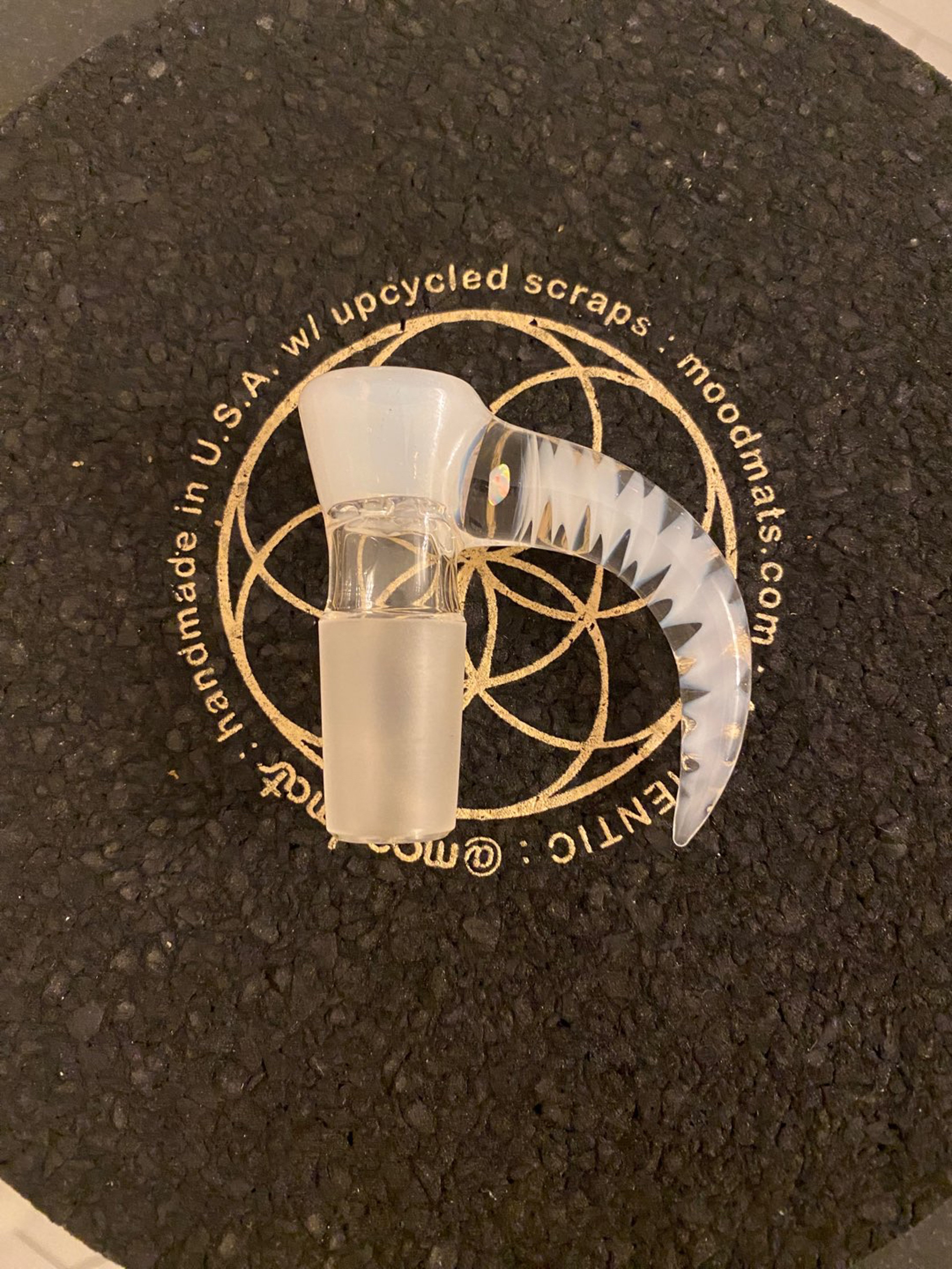 Preview pic of Jarred Bennett