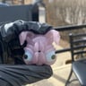 Small image 0