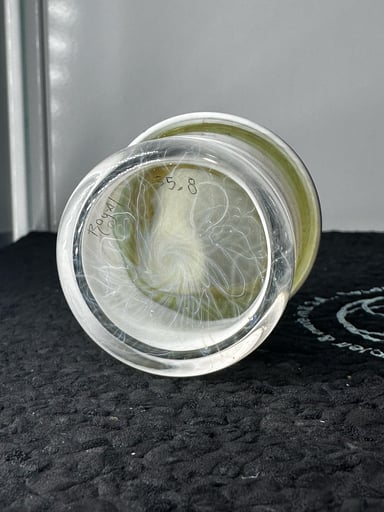 Preview pic of @Royalsglass Cfl  Jar