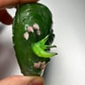 Small image 2