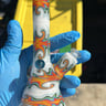 Small image 0
