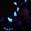 Small image 8