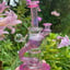 Small image 9