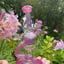 Small image 8