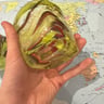 Small image 4
