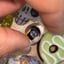 Small image 5