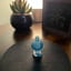 Small image 8