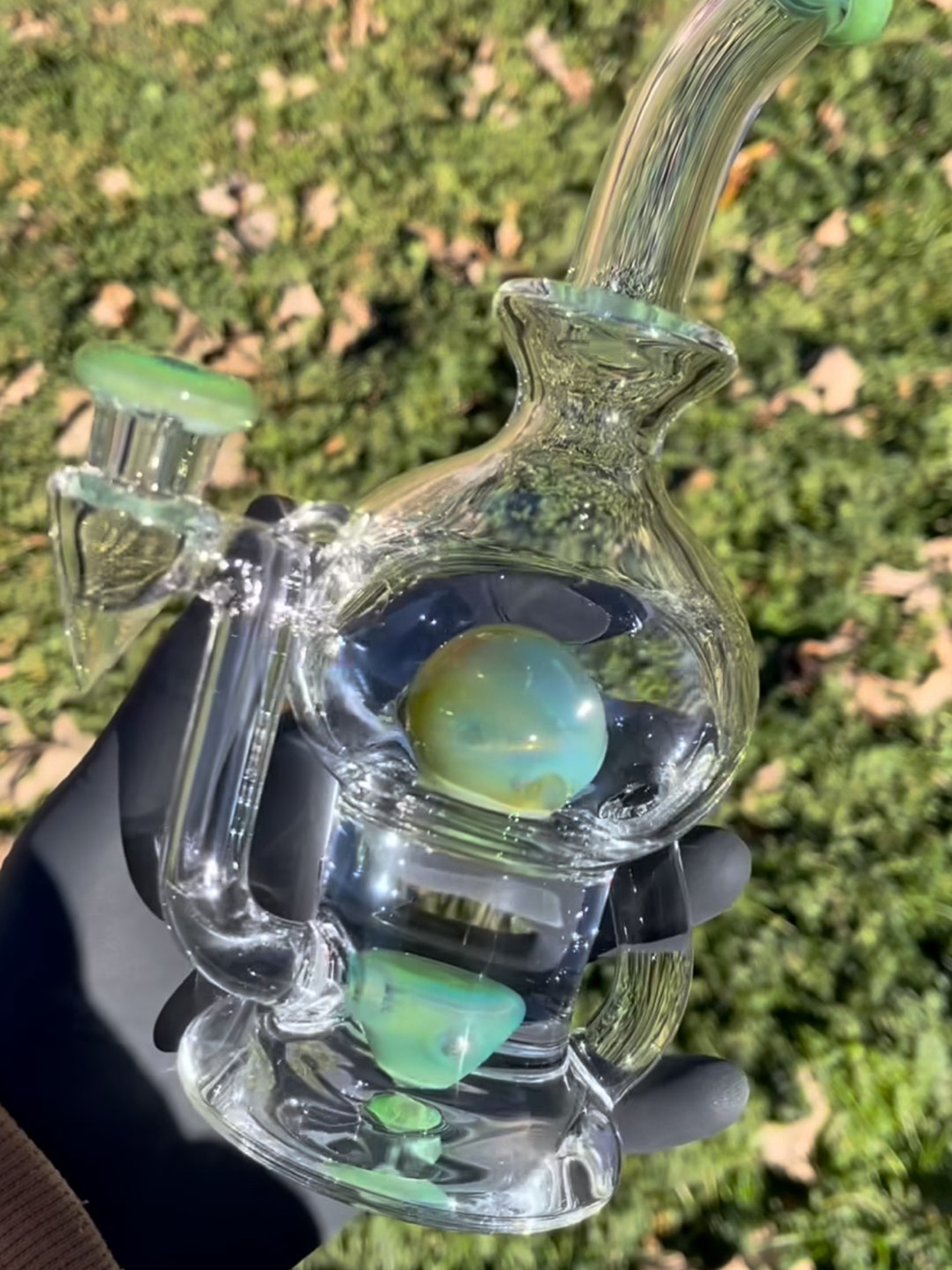 TubesockGlasshustle Brain Bub image 0